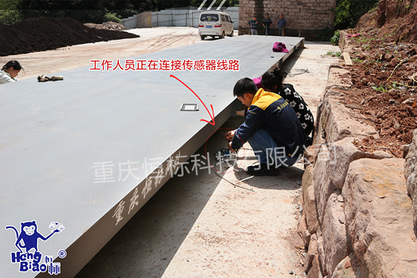 重庆电子汽车衡 \