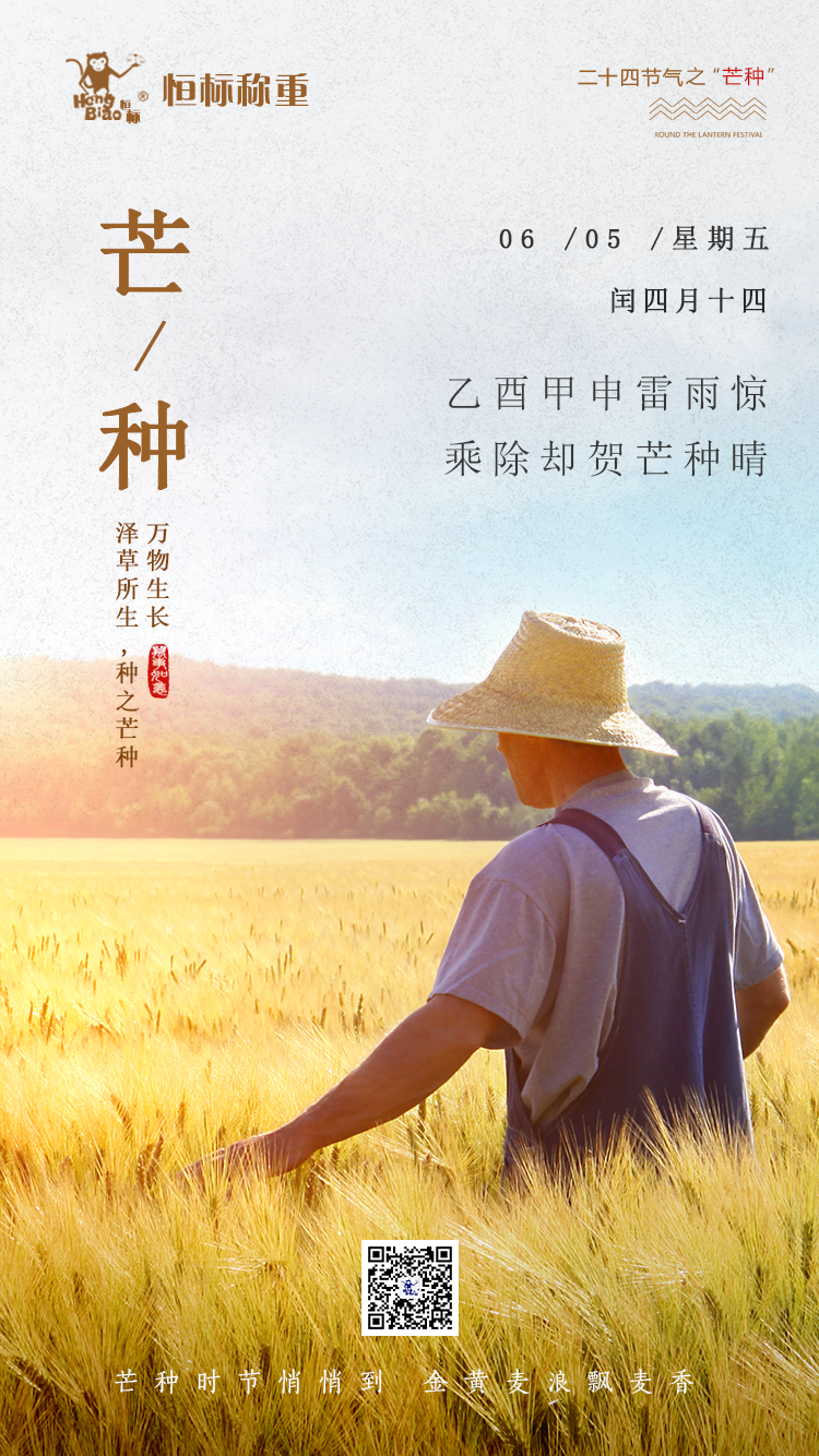 芒种 \